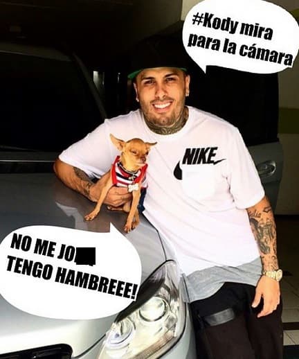 Y se pone tan creativo... hasta sus mascotas aparecen en los memes.