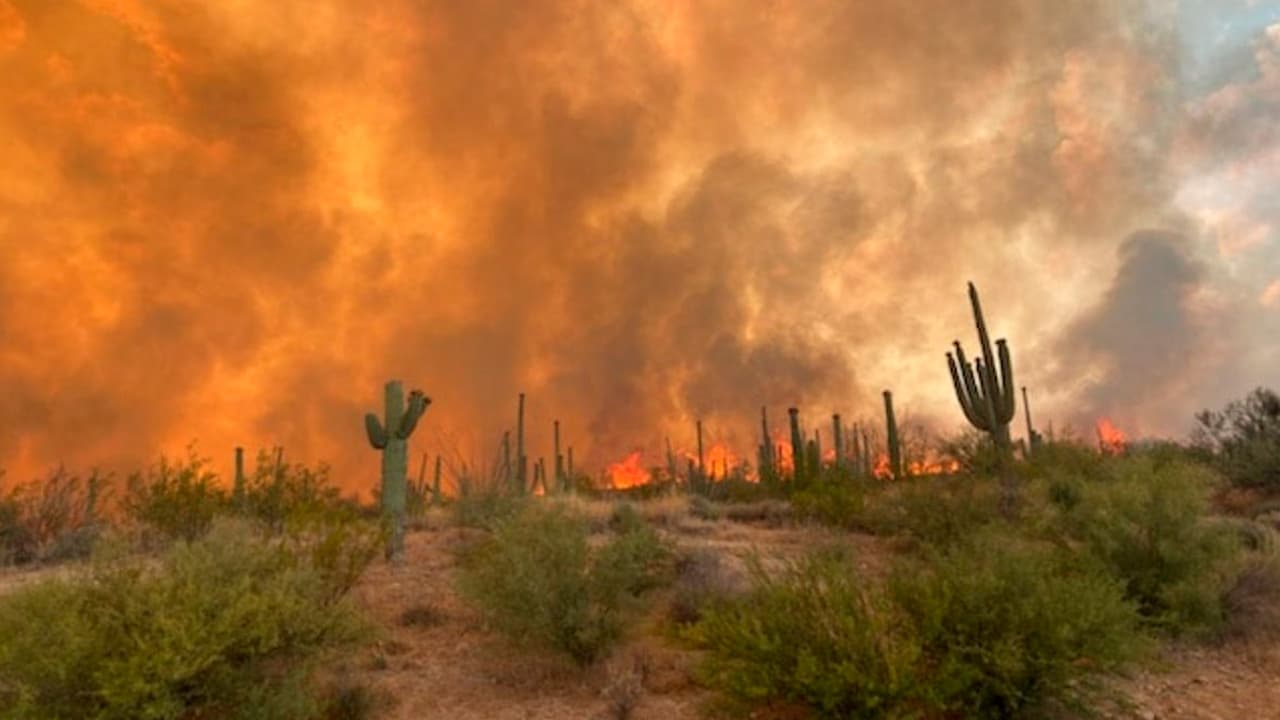 Siphon Fire: Piden a residentes estar preparados para evacuar sus hogares