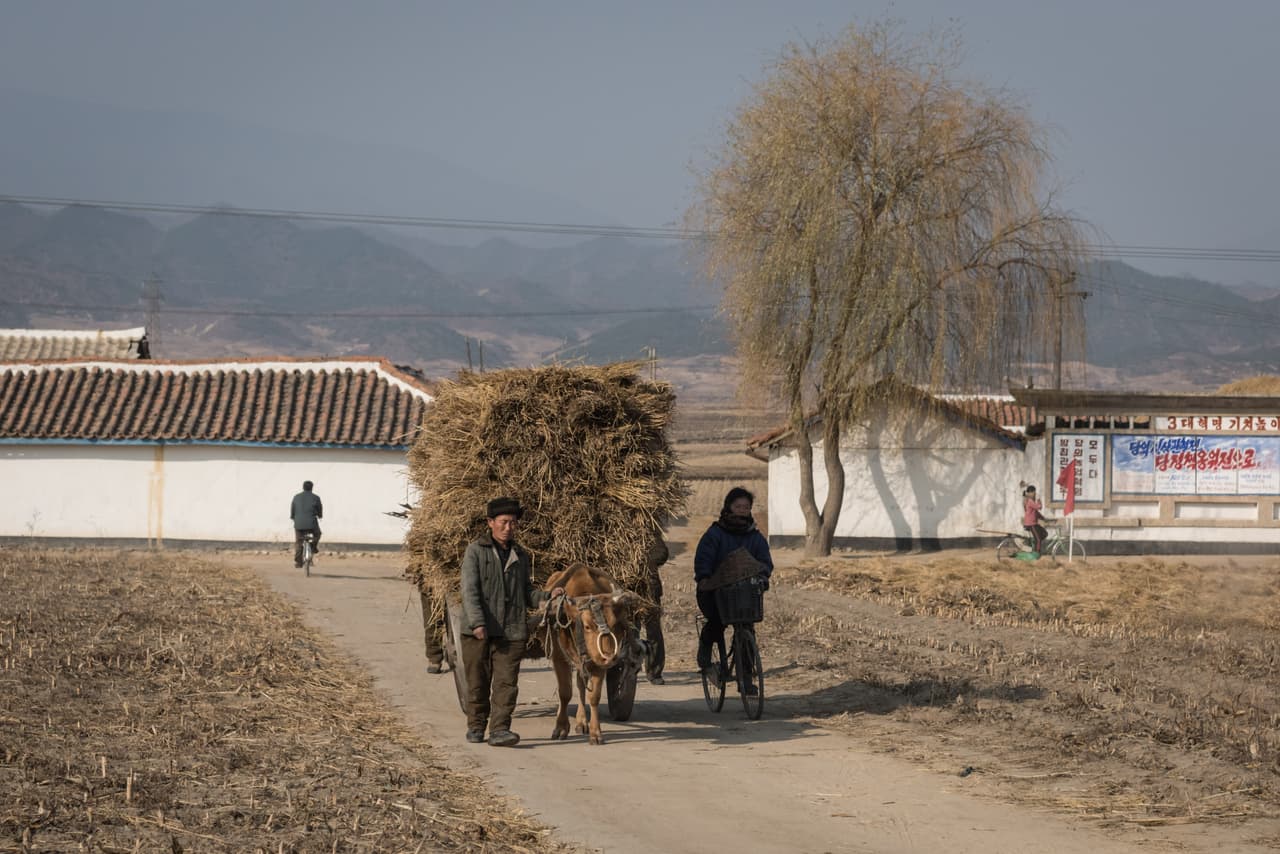 Como si se tratara de un viaje en el tiempo, conforme se fue acercando más a la costa se fue topando con bestias llevando grandes cargamentos, e incuso a pobladores jalando carros con sus propia producción agrícola.
<br>ED JONES/AFP/Getty Images