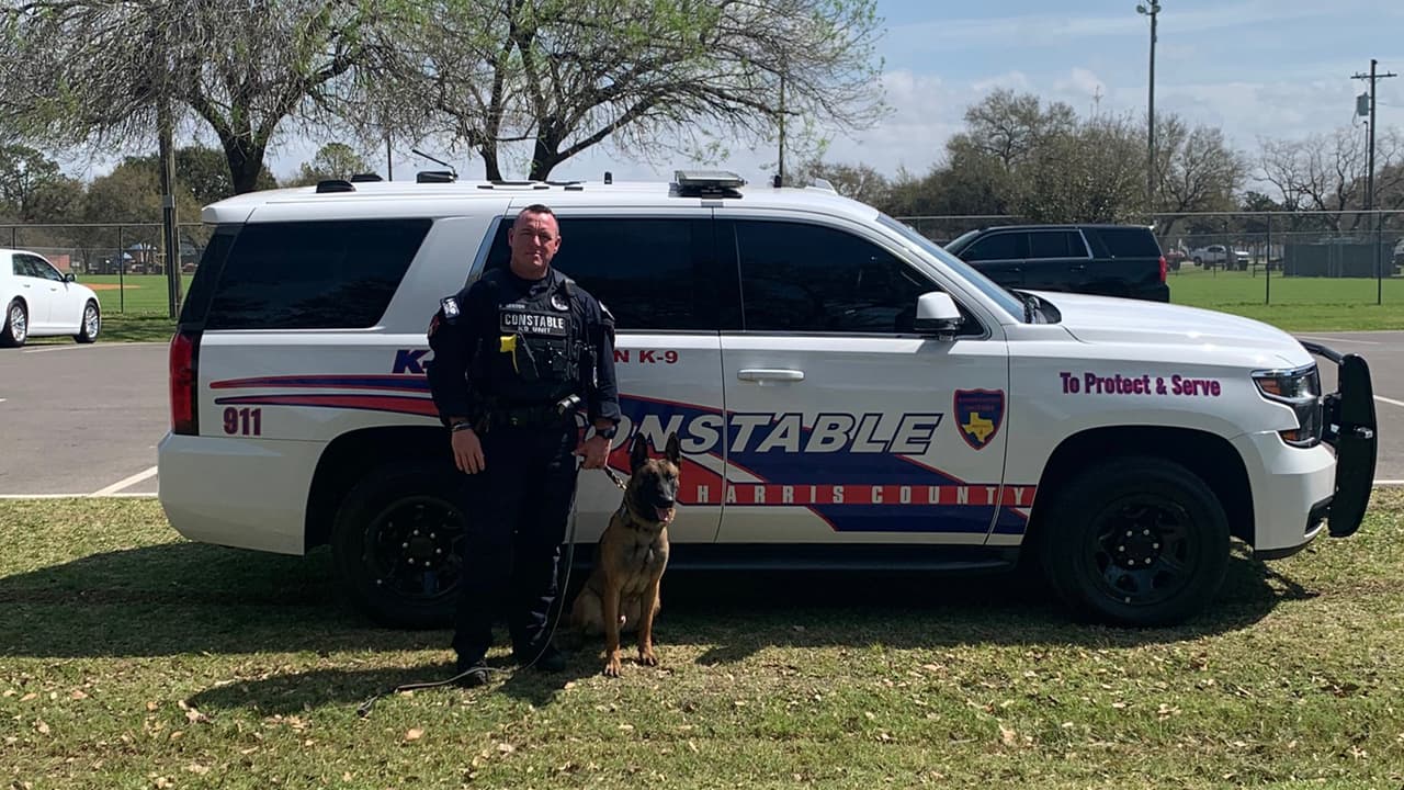 La oficina del 
<b><a href="https://www.facebook.com/Precinct4" target="_blank">alguacil del Precinto 4, Mark Herman</a></b> tiene a un nuevo elemento canino para proteger a los residentes de esa jurisdicción del condado Harris.