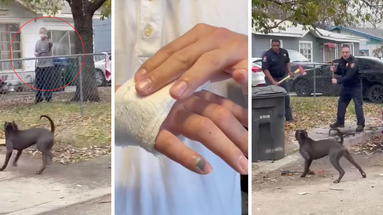 La familia de Ramón Nájera, de 81, años, el veterano de la Fuerza Aérea que murió tras ser atacado por dos perros, dijo sentirse devastada tras los hechos ocurridos el pasado viernes.