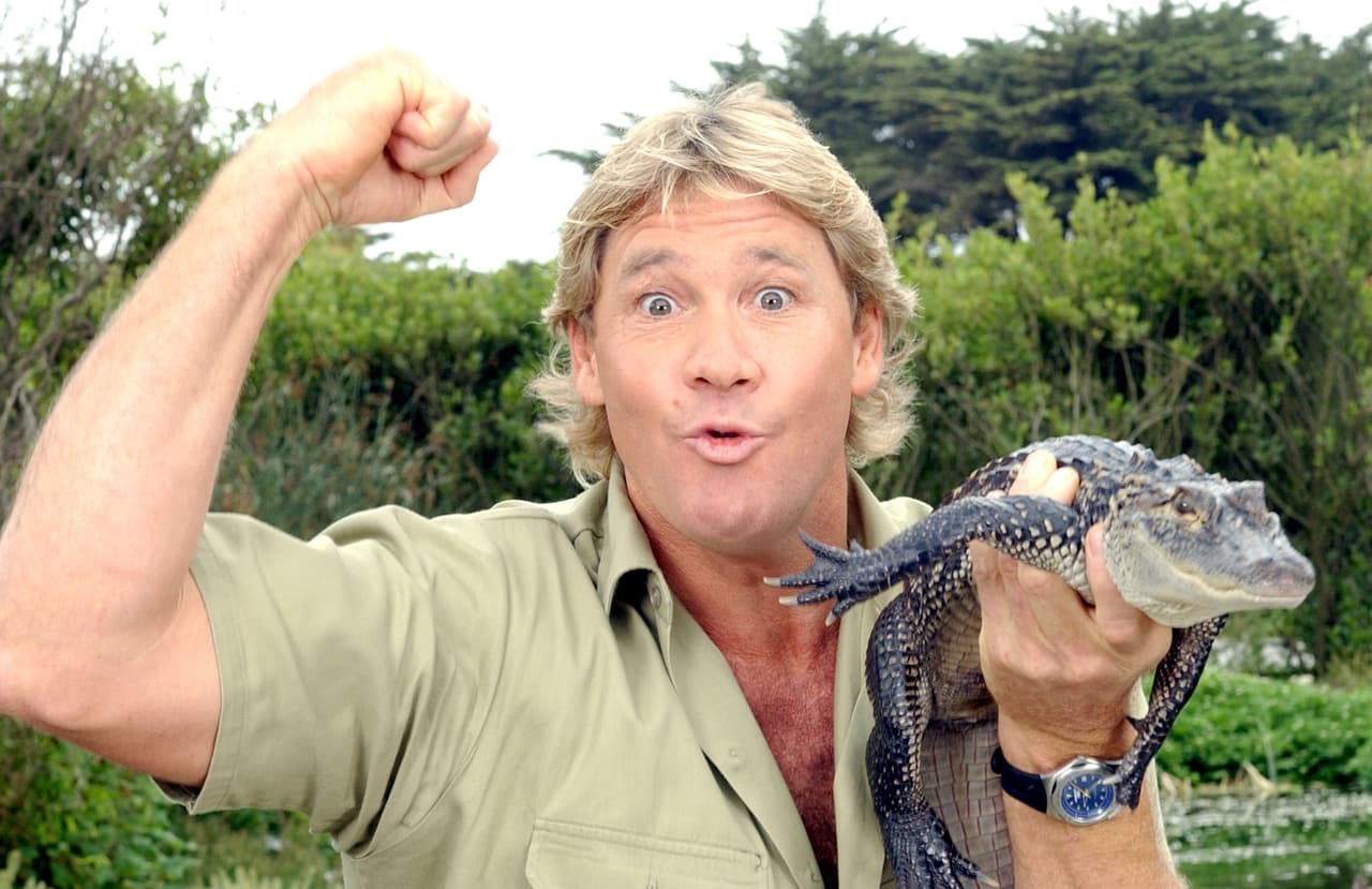 Steve Irwin, mejor conocido como el Cazador de Cocodrilos, murió buceando después de que la púa de una mantarraya atravesara su pecho.