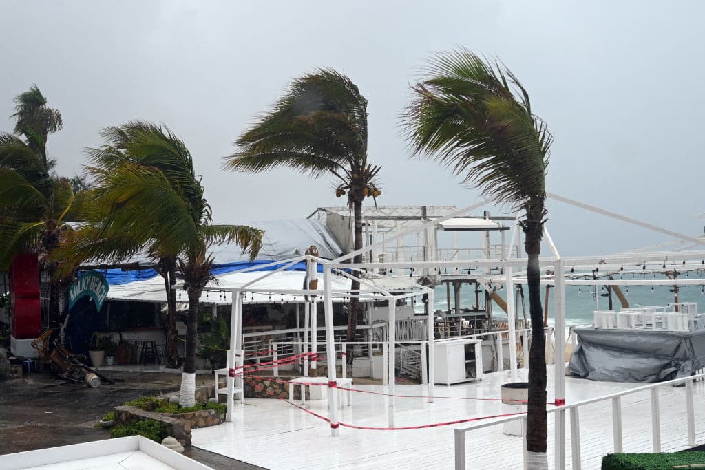 Rachas de viento mueven las pencas de las palmeras en la playa Medano en el hotel Los Cabos de Baja California, México.