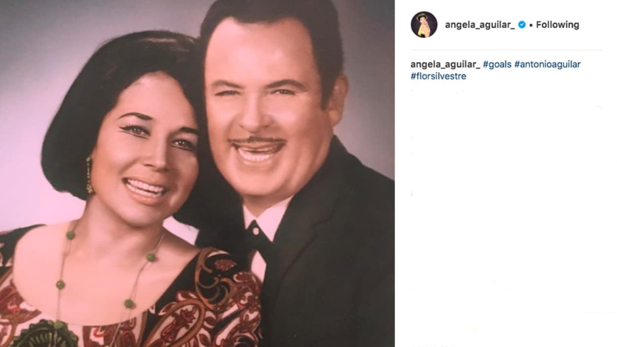 A lo largo de su carrera 
<b>grabó más de 30 álbumes</b> que recopilan una gran cantidad de géneros mexicanos y latinoamericanos. Entre sus éxitos se encuentran: 'Cielo Rojo', 'Renunciación', 'Mi casita de paja', entre otras. 
<br>