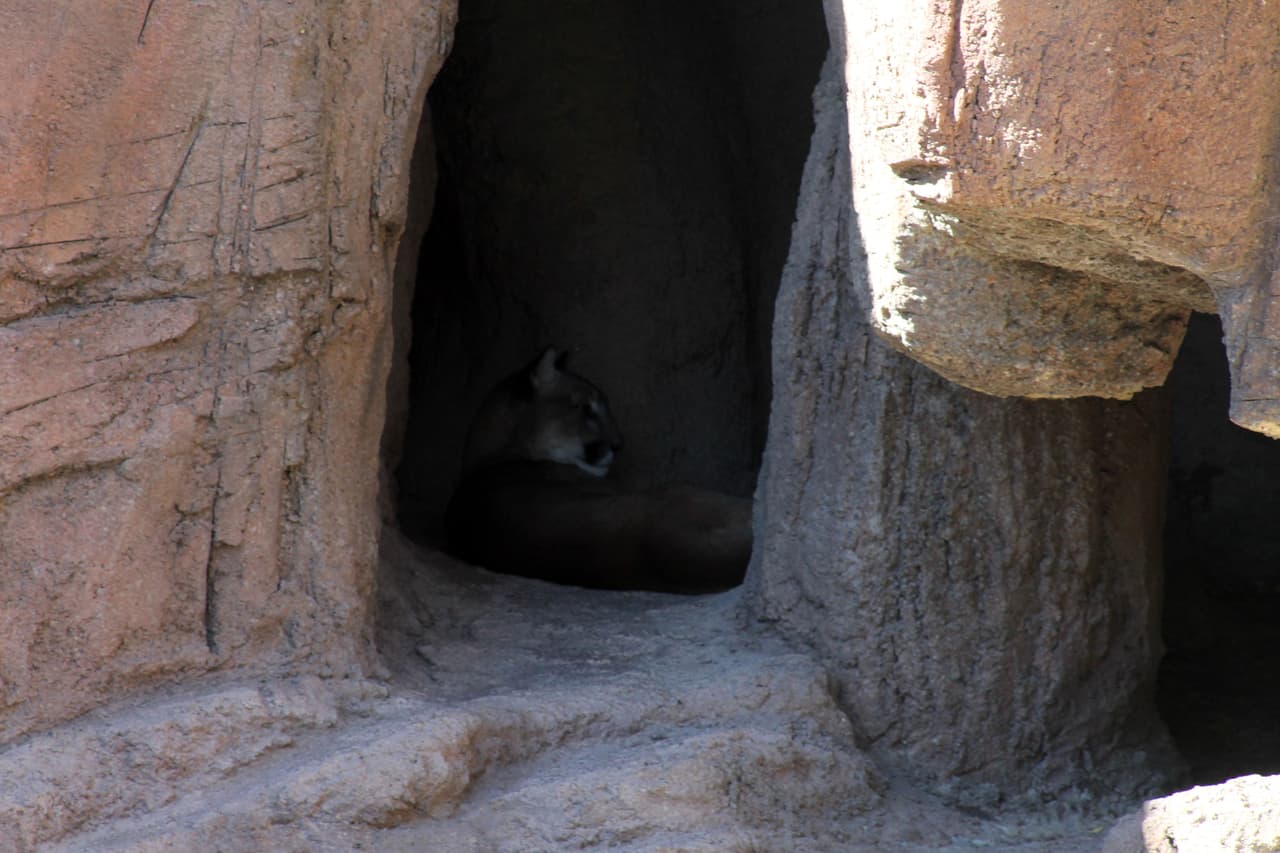 El Museo del Desierto Arizona - Sonora