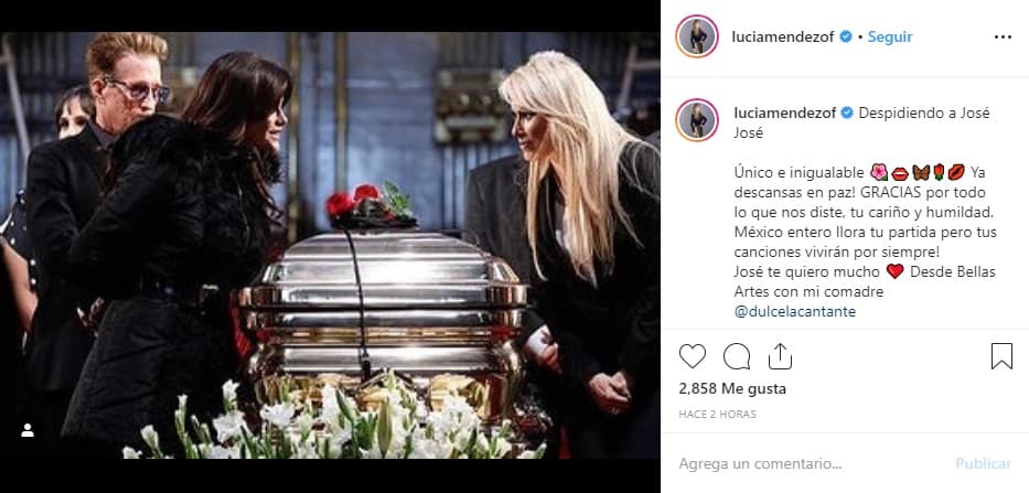 A las cientos de personas que acudieron al homenaje en el Palacio de Bellas Artes, se unieron algunos famosos. Los cantantes Lucía Méndez, Dulce y Emmanuel fueron algunos de ellos. Méndez escribió en Instagram: "Único e inigualable. 
<b><a href="https://www.instagram.com/p/B3Z91B-nW_u/" target="_blank">Ya descansas en paz.</a></b> Gracias por todo lo que nos diste, tu cariño y humildad. México entero llora tu partida, pero tus canciones vivirán por siempre. José te quiero mucho. Desde Bellas Artes con mi comadre Dulce".