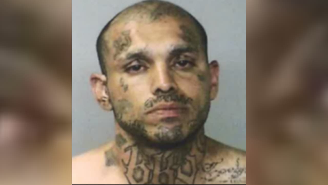 Hispano irá 18 años a prisión por quemar y matar un perro