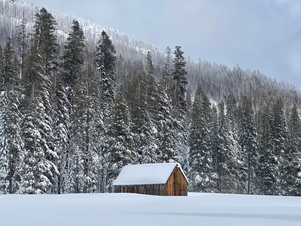 “Las tormentas invernales están brindando a nuestro estado golpeado por la sequía un rayo de esperanza, pero se necesitarán más tormentas con un golpe similar de lluvia y nieve durante la temporada de invierno antes de que podamos estar en un lugar donde las condiciones de sequía ya no son de preocupación”, según el DWR CA.