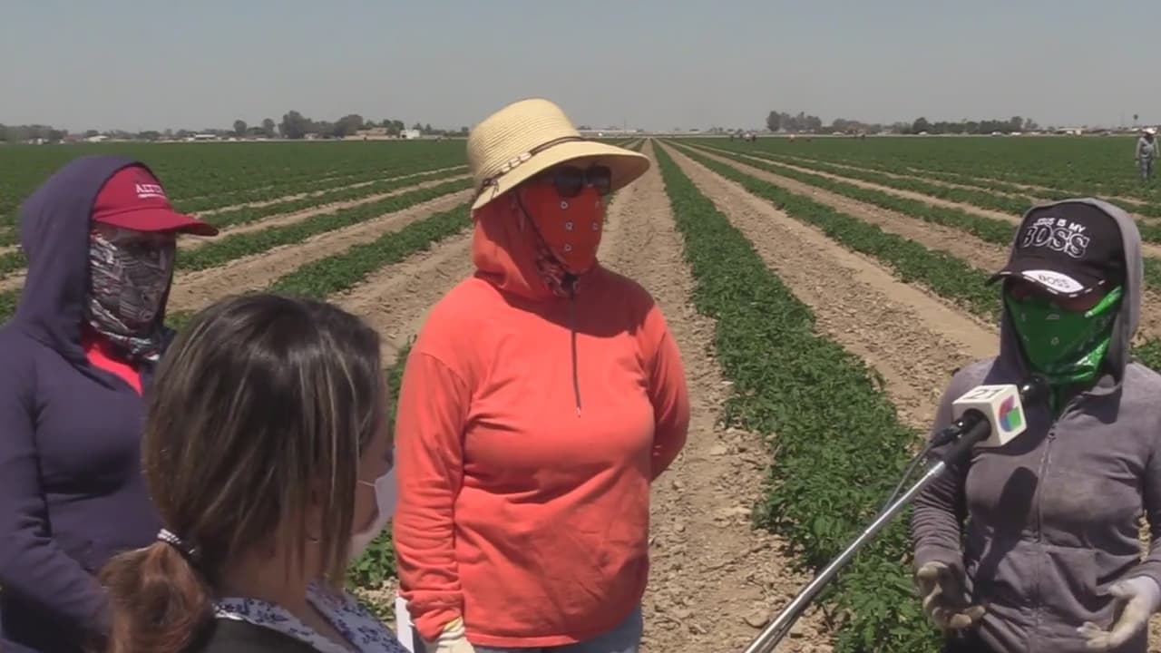 Aumentan el patrullaje policial en campos de la zona debido a serie de robos a campesinos