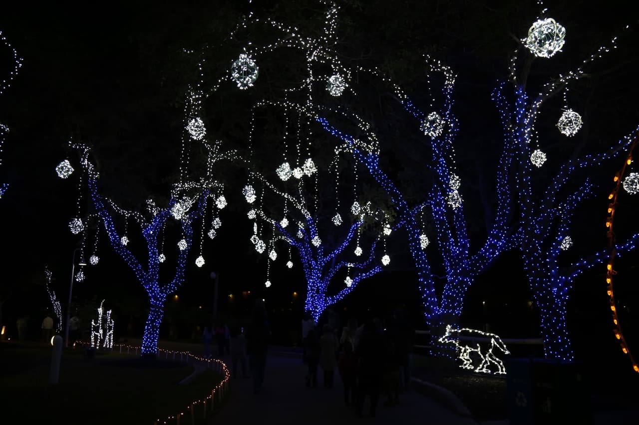 Un bosque en azul y blanco. Muy fotografiado por los visitantes.
