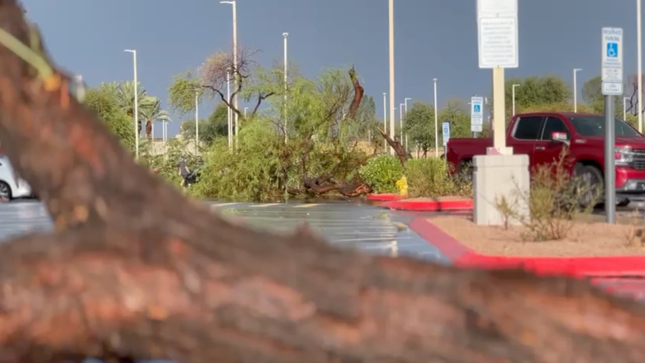 El área metropolitana de Phoenix se vio impactada por una tormenta monzónica que vino acompañada de una serie de tormentas eléctricas con vientos de gran intensidad.