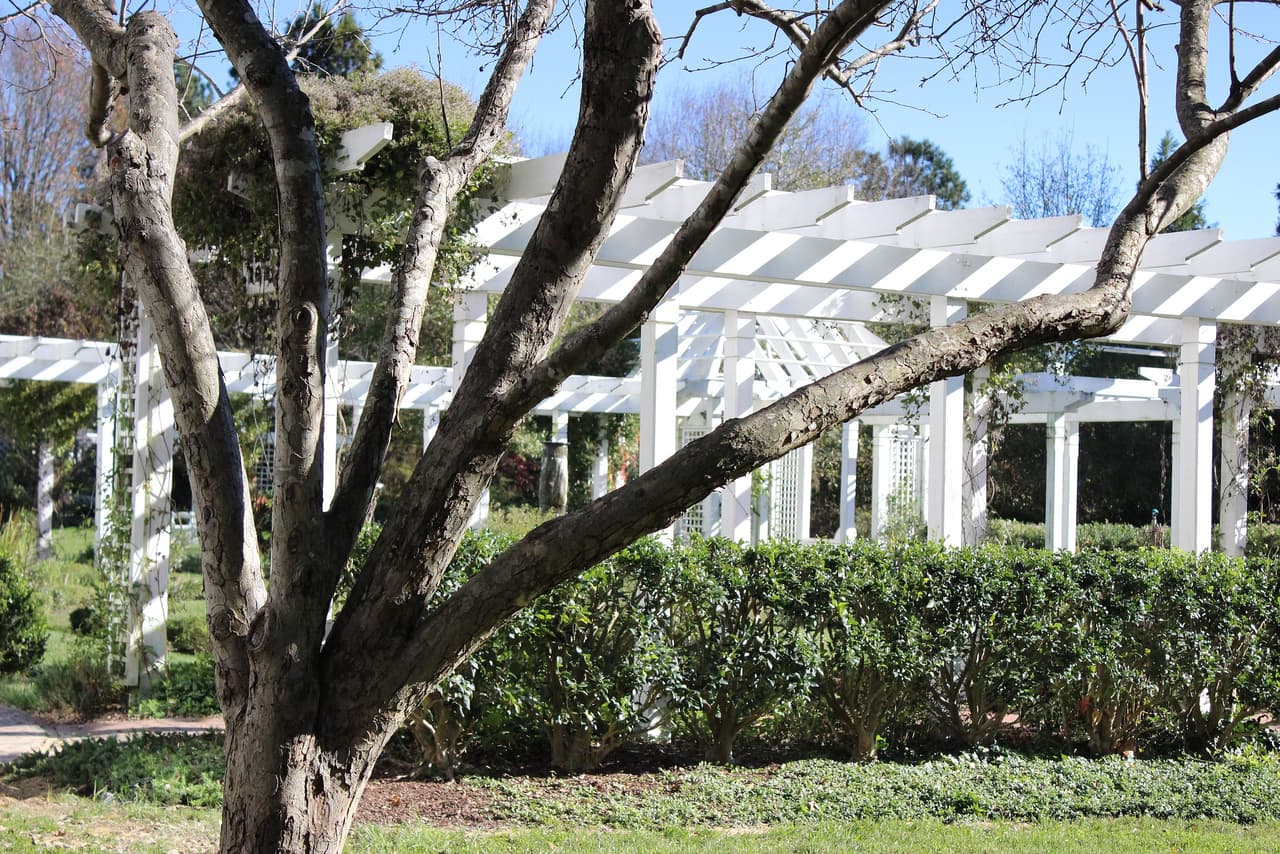 <h3 class="cms-H3-H3">16. Fearrington Village, Carolina del Norte</h3>
<br>
<br>📖
<b>Media de edad: </b>73.0 años.
<br>
<br>📖
<b>Población que asiste a la universidad: </b>4.9%
<br>
<br>📖
<b>Población menor de 18 años:</b> 2.8%
<br>
<br>📖
<b>Población mayor de 65 años:</b> 74.8%
<br>
<br>📖
<b> Población:</b> 2,693 habitantes.
<br>