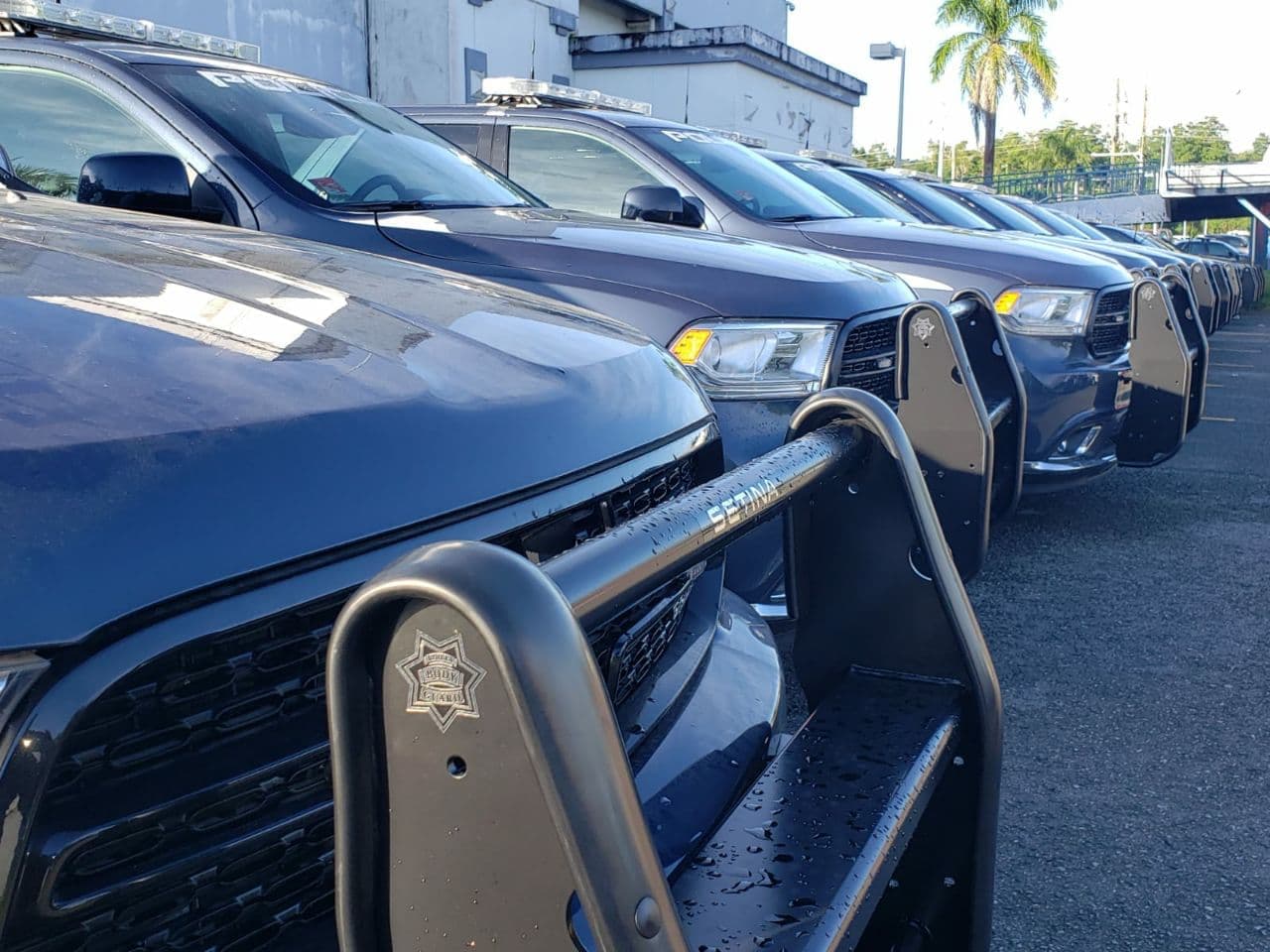 Los funcionarios explicaron que los vehículos serán distribuidos de la siguiente manera: 15 para el área policiaca de Humacao; 12 para las áreas policiacas de Guayama, Aguadilla y Mayagüez, respectivamente y 9 para el área policiaca de Fajardo.