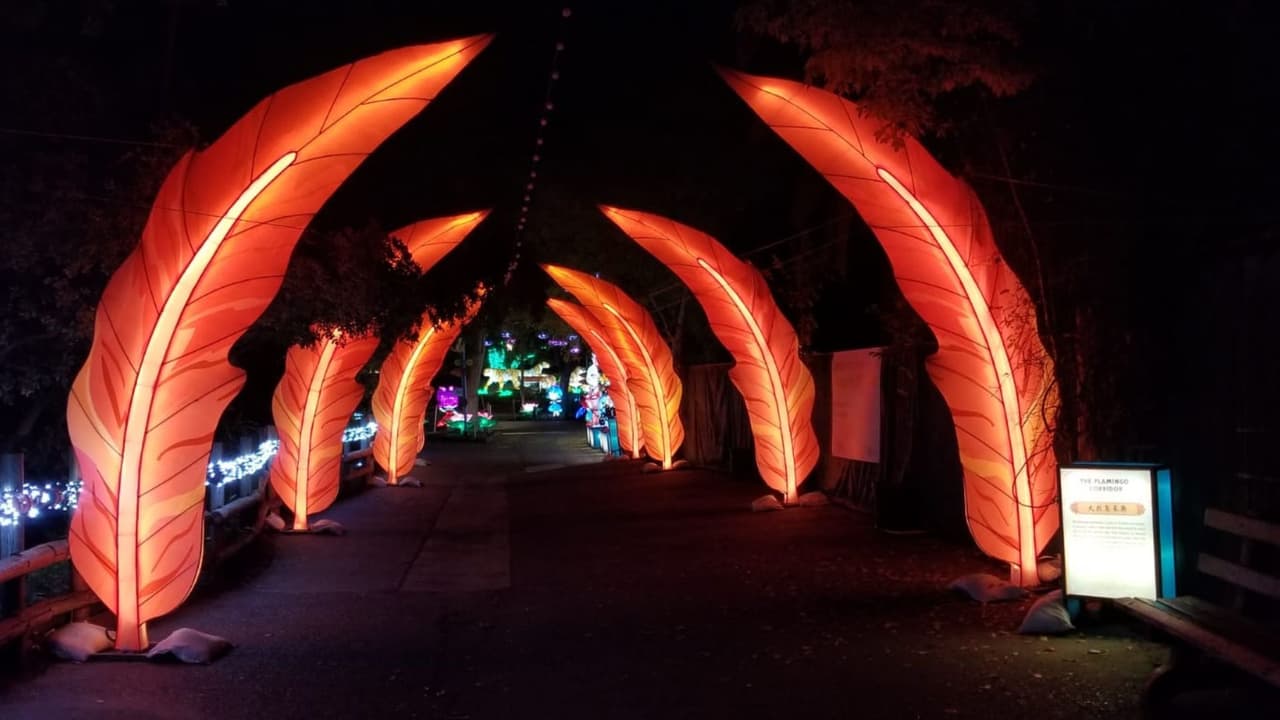 Pero el viernes 9 de diciembre, de 6:00 a 10:00 pm, habrá una noche exclusiva para adultos, donde los asistentes podrán disfrutar de degustaciones de cerveza y vino de cortesía.