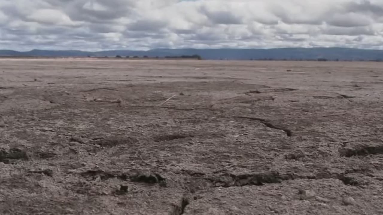 <b>La costa oeste se prepara para una nueva ola de calor justo cuando California atraviesa una histórica sequía: </b>De los 58 condados de California, 50 se encuentran en estado de emergencia. El gobernador Gavin Newsom ha tomado otras medidas, como pedir a la población que voluntariamente reduzca en un 15% su consumo de agua. Además, se emiten alertas para moderar el uso de electricidad en horas pico.
