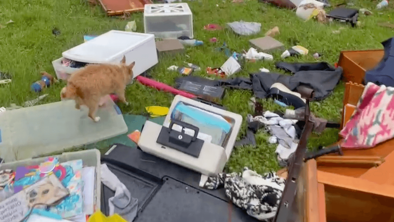 Este perrito pasea entre los escombros de lo que quedó de su hogar en Barry, Texas.