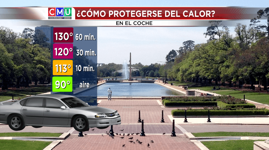 Temperatura en el interior de un coche.