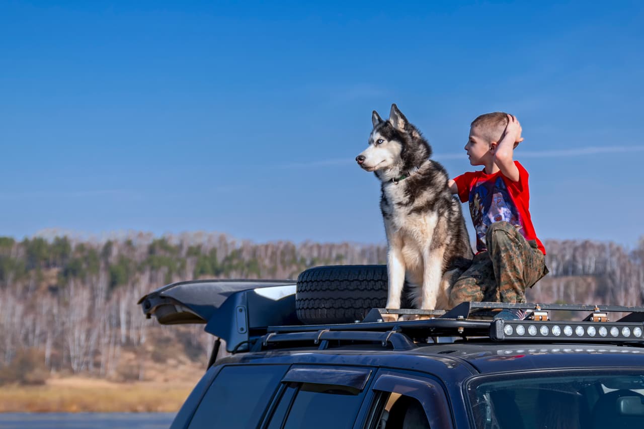En Alaska, está rotundamente prohibido amarrar a tu perro en el techo del carro. Suena a locura y probablemente pienses que a nadie se le ocurriría hacerle tal cosa a su fiel amigo de cuatro patas. Pues bien, durante unas vacaciones familiares en 1983, Mitt Romney, excandidato a la presidencia de Estados Unidos, condujo 12 horas con su perro en el techo; y al parecer, muchas otras personas lo han llegado a hacer también. 
<a href="https://www.univision.com/carros/consejos-de-carros/por-que-es-peligroso-dejar-a-las-mascotas-sueltas-en-el-auto-mientras-conduces">Puedes seguir estos consejos para transportar a tu mascota de la manera más segura.</a>