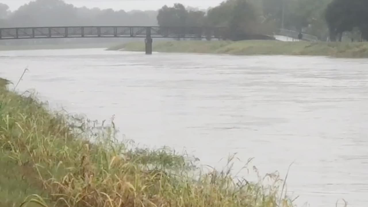 Estas imágenes fueron captadas por el equipo de noticias de Univision 45 en el Braeswood Bayou.