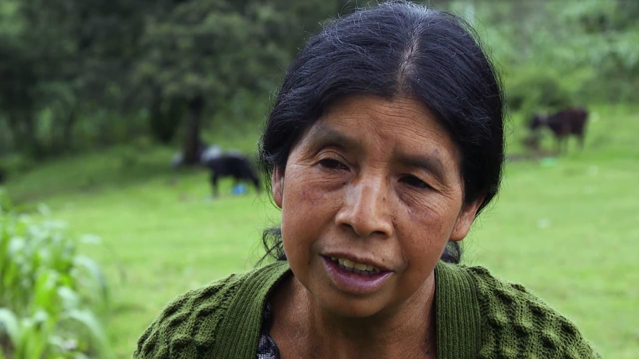 En los lugares más aislados de América Latina, los microcréditos salvan la vida de mujeres indígenas 