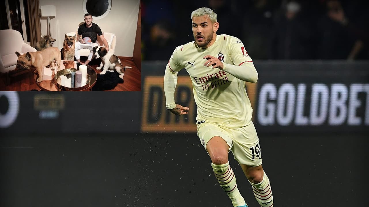 Theo Hernández, del Milan, tendrá cargos legales por culpa de su pitbull