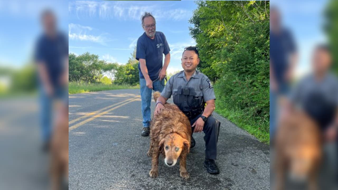 Policía de Nueva York se arrastra 15 pies dentro de un drenaje para rescatar a una perrita