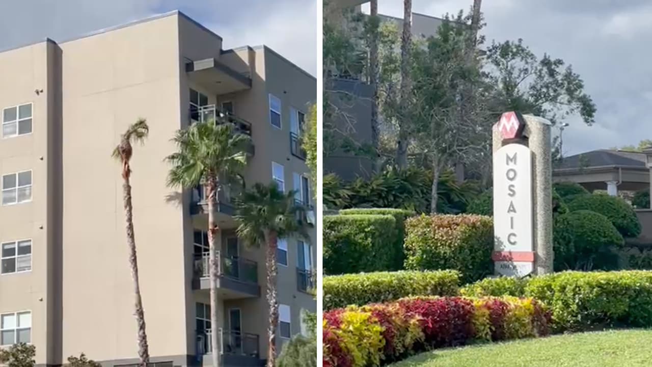 Muere bebé de 3 años que cayó del cuarto piso de un edificio residencial en Tampa