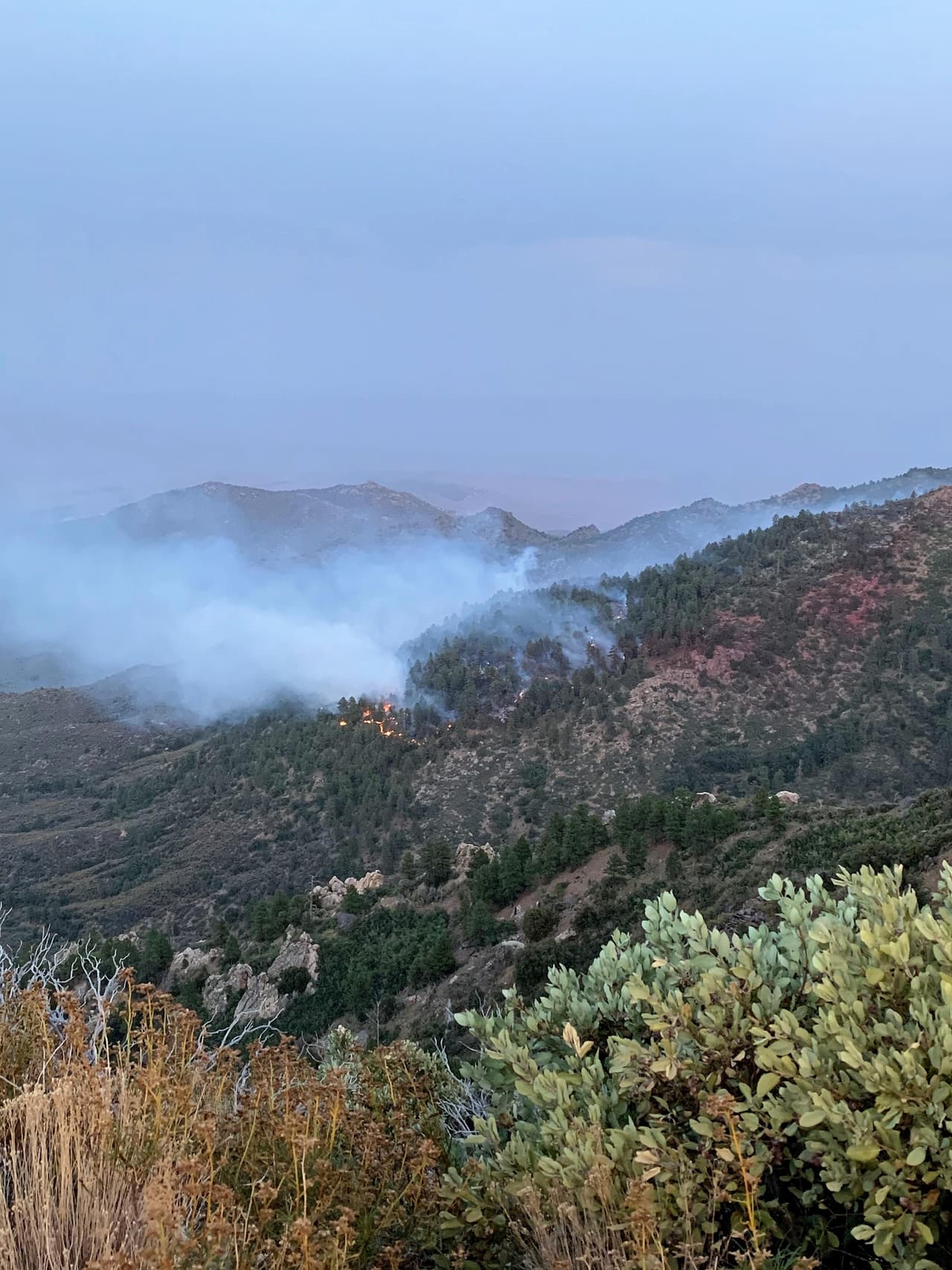 Hay varios cierres de carreteras que afectan los senderos del área, incluyendo Ridge Road y partes del sendero Moss Wash OHV, entre otros. 
<a href="https://inciweb.nwcg.gov/incident/article/6990/53369/" target="_blank">Entre a este enlace</a> para ver todos los cierres del área. 
<br>