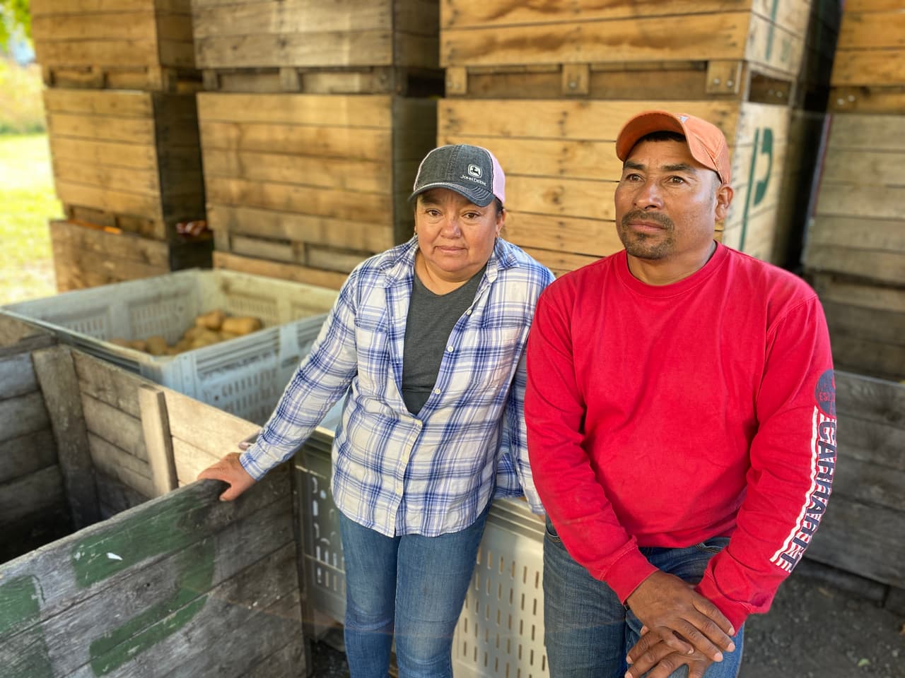 Por años cultivaron para otros, pero ahora producen en sus propias tierras y dan trabajo a más mexicanos