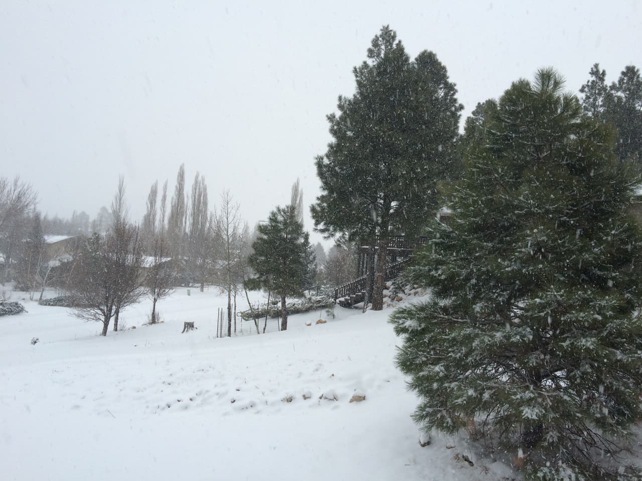 Desde el fin de semana no para de nevar en Flagstaff. El Distrito Escolar de Flagstaff cerró las escuelas el día de hoy debido a la nieve. La Universidad del Norte de Arizona sigue con horario normal. La I-40 está cubierta de nieve y el tráfico está lento debido a la nevada y poca visibilidad.
