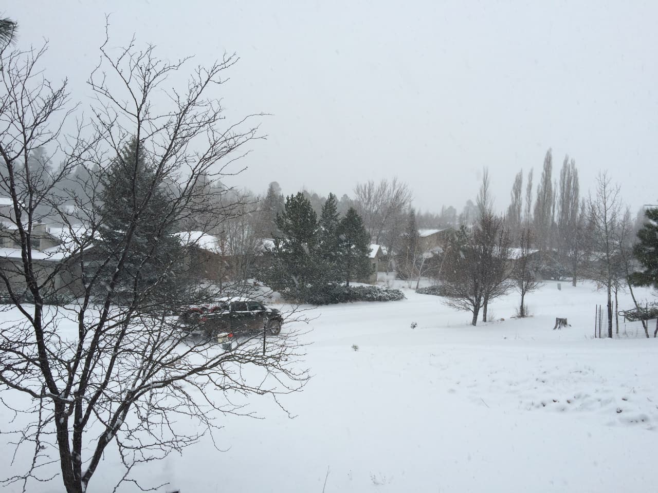 El Distrito Escolar de Flagstaff cerró las escuelas el día de hoy debido a la nieve. La Universidad del Norte de Arizona sigue con horario normal. La I-40 está cubierta de nieve y el tráfico está lento debido a la nevada y poca visibilidad.