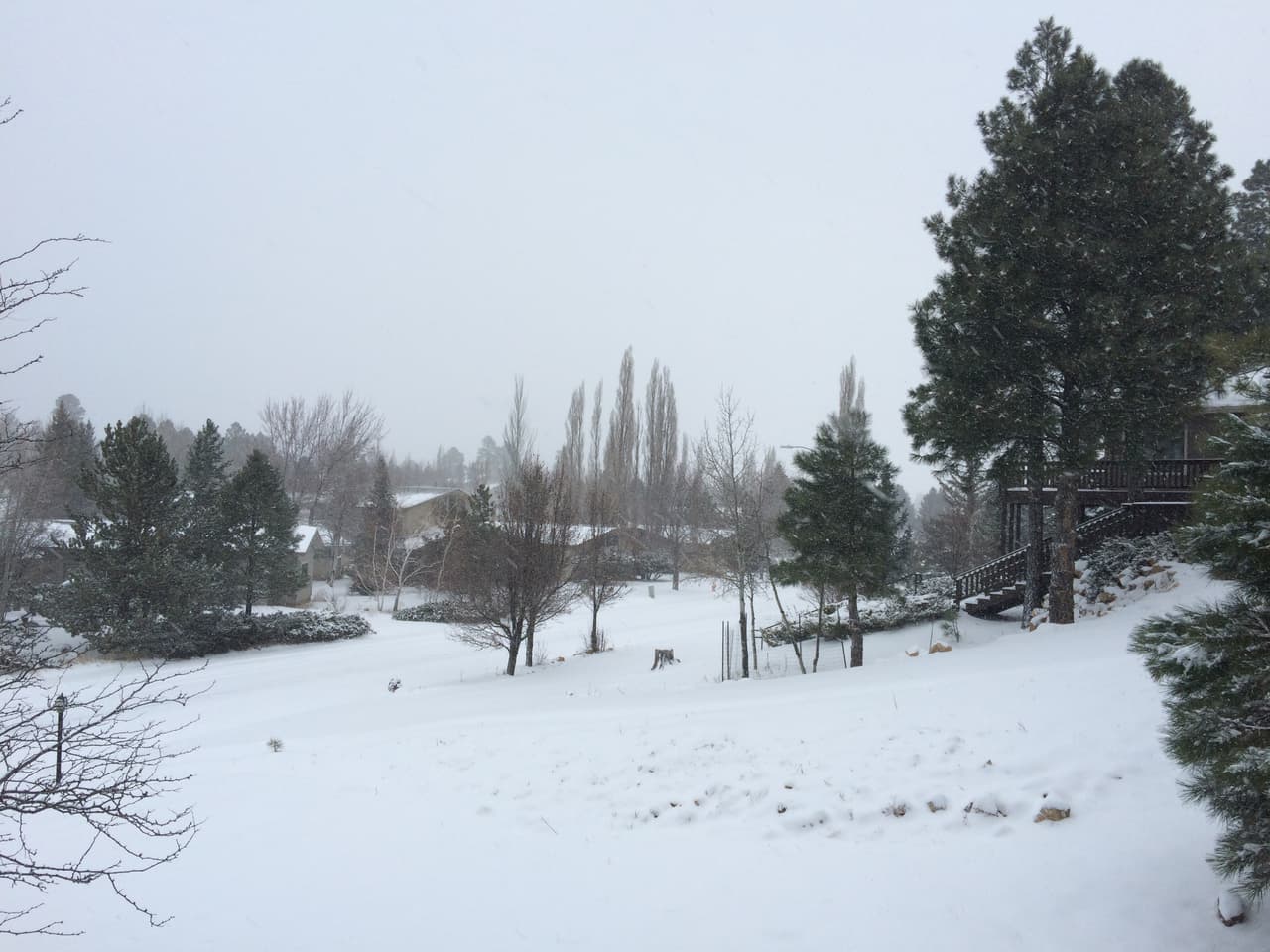 Desde el fin de semana no para de nevar en Flagstaff. El Distrito Escolar de Flagstaff cerró las escuelas el día de hoy debido a la nieve. La Universidad del Norte de Arizona sigue con horario normal. La I-40 está cubierta de nieve y el tráfico está lento debido a la nevada y poca visibilidad.