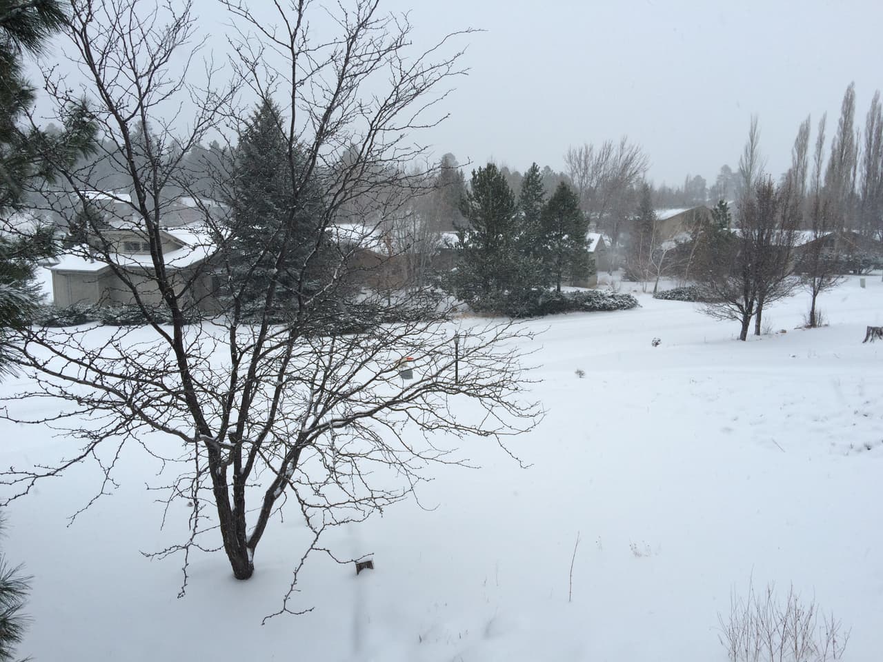 El Distrito Escolar de Flagstaff cerró las escuelas el día de hoy debido a la nieve. La Universidad del Norte de Arizona sigue con horario normal. La I-40 está cubierta de nieve y el tráfico está lento debido a la nevada y poca visibilidad.