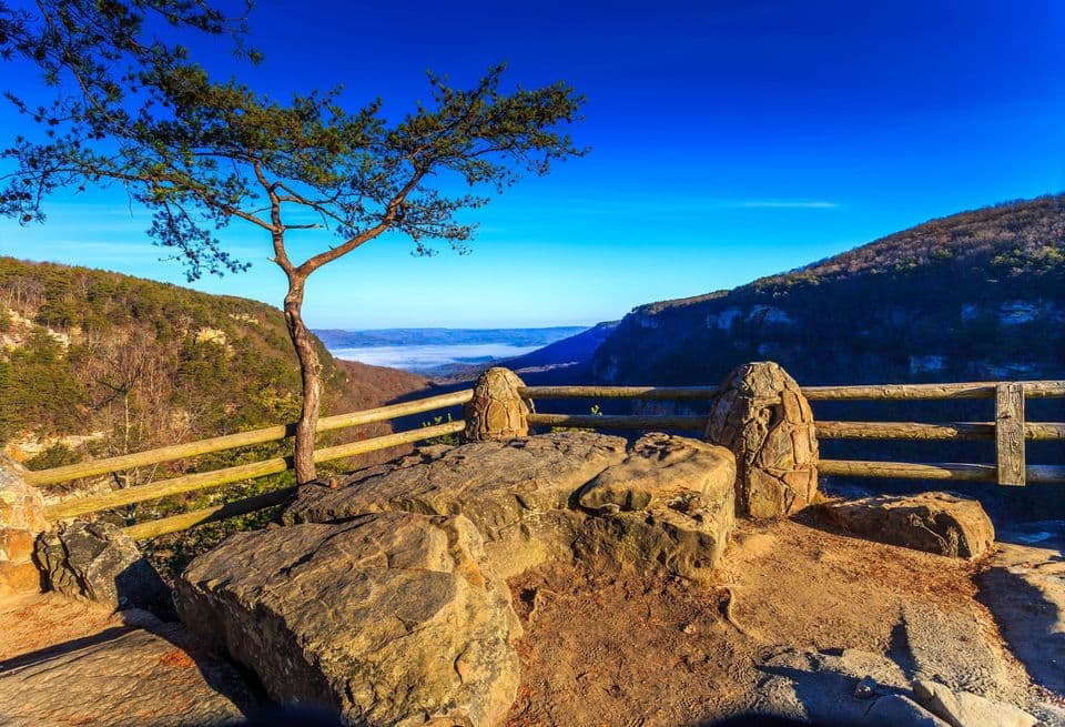 <a href="https://gastateparks.org/CloudlandCanyon"><b>Cloudland Canyon State Park (Rising Fawn):</b></a> Ubicado en el borde de Sitton Gulch, el mirador de Cloudland Canyon, desde el borde occidental de Lookout Mountain, ofrece vistas espectaculares del cañón y los bosques circundantes. Camina por el 'Overlook Trail', a lo largo del borde del cañón hasta el mirador principal, para que observes un paisaje que hará imborrable el recuerdo de esta visita.