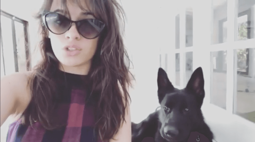 <b>Camila Cabello</b> tiene dos perros, Leo y Thunder, con quienes platica y comparte su tiempo.
