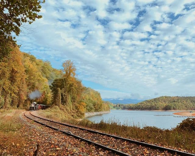 El viaje incluye una escala de hora y media en la histórica ciudad de Dillsboro, donde encontrará tiendas exclusivas, sabrosos restaurantes y mucho espacio para relajarse. Hay tiempo para comprar, comer algo y visitar las numerosas tiendas exclusivas antes de regresar a Bryson City.