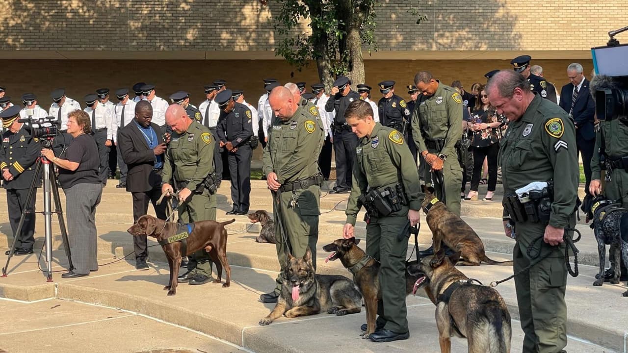 <b>Sin embargo, cuando el adiestrador regresó al vehículo, descubrió que el motor se había apagado y que Aron estaba muriendo.</b>
<br>