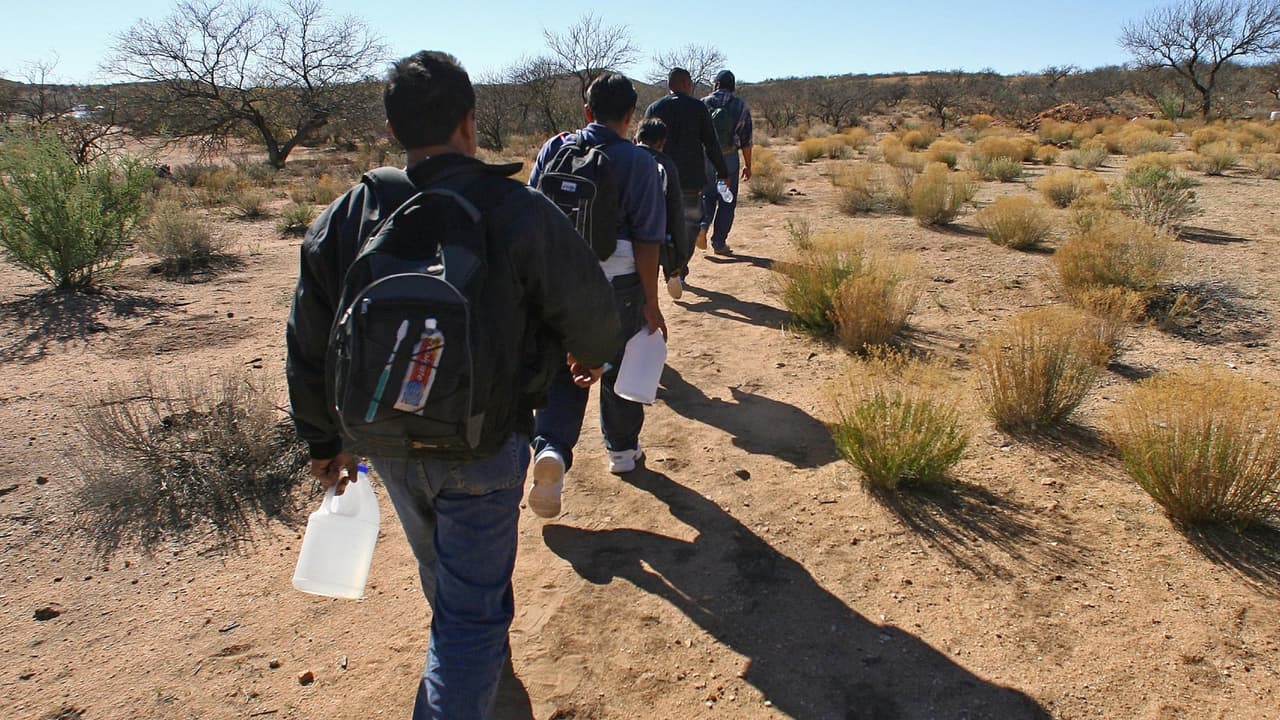 Mujer escondió a más de 100 indocumentados en una casa en Arizona y la condenaron a prisión 