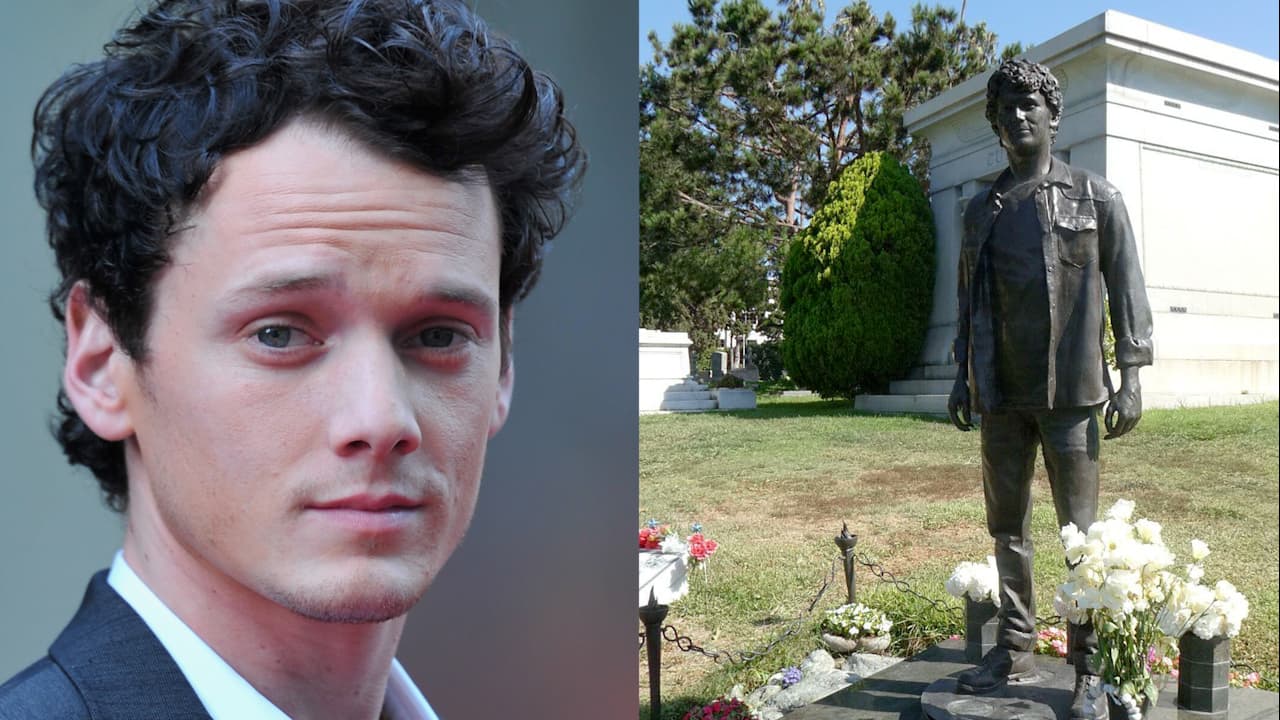 La muerte truncó su exitosa carrera en ascenso: la historia de Anton Yelchin