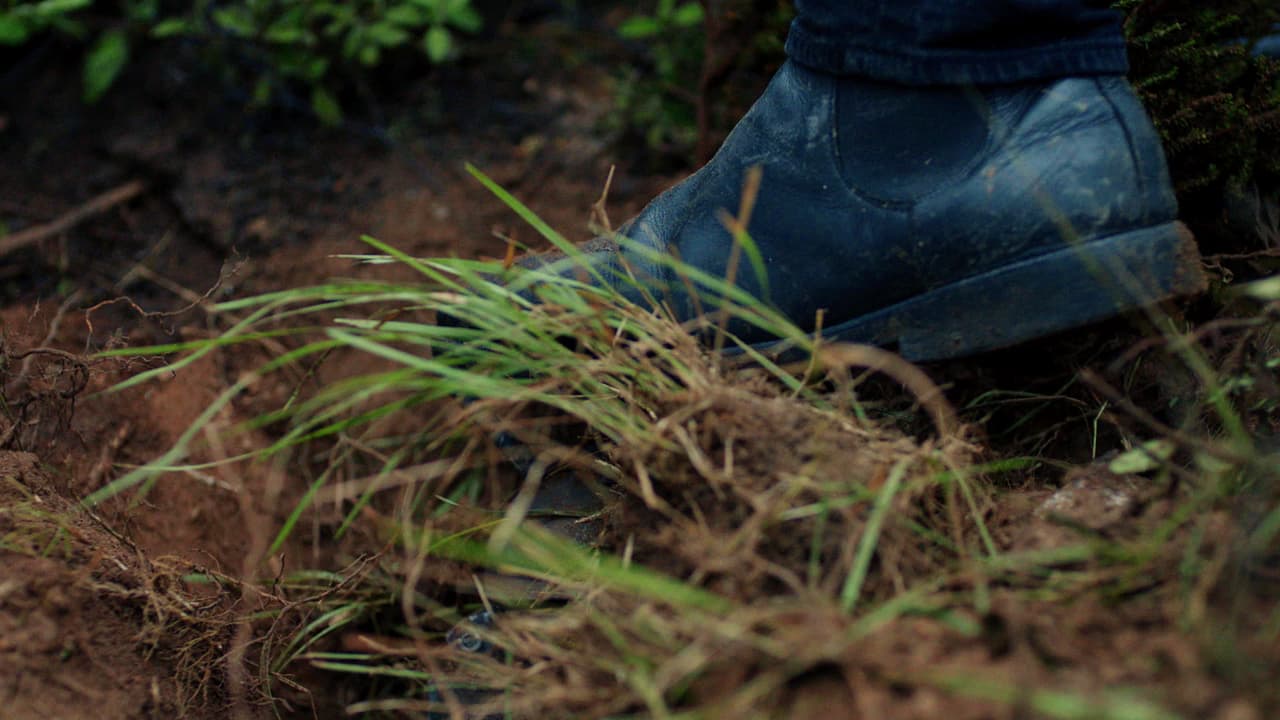 Para su sorpresa, lo que sí pudieron lograr fue desconectar la bomba sobre la que Emir se encontraba.