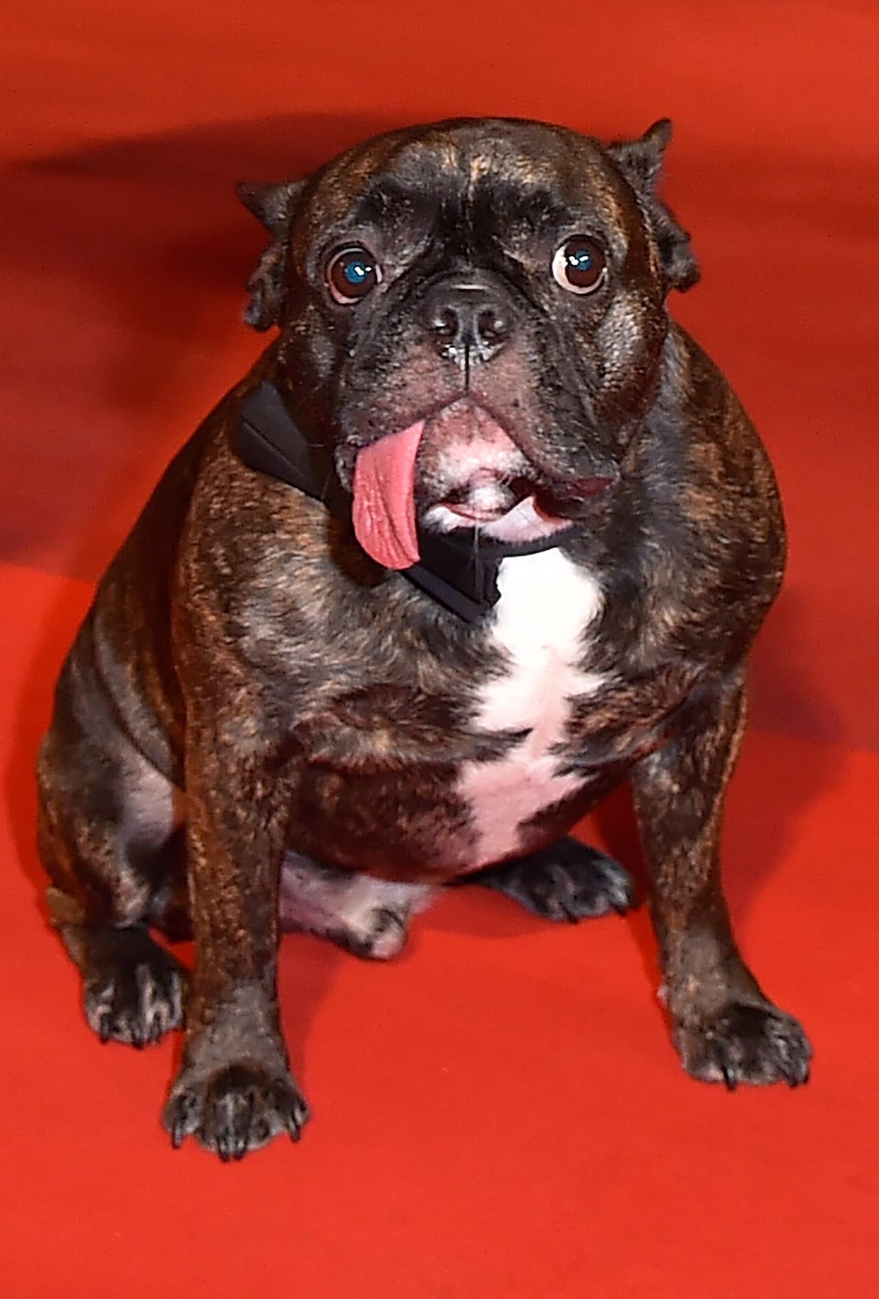 LOIC VENANCE/AFP/Getty Images