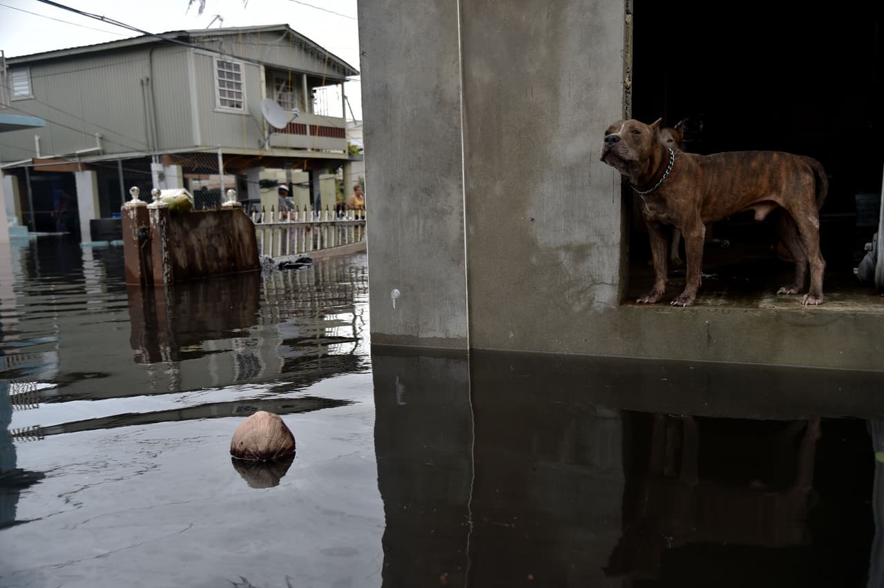 Cataño (Puerto Rico) después del paso del Huracán María: últimas noticias