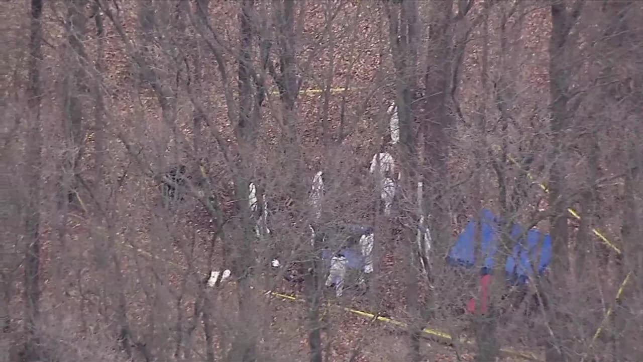 Encuentran restos humanos enterrados en un bosque de Staten Island