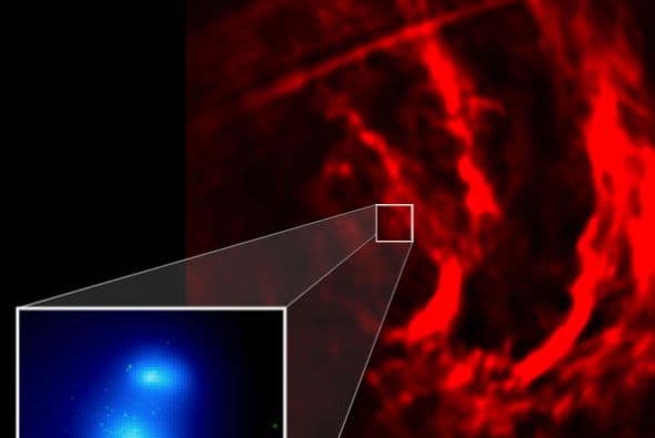Esta imagen muestra el primer halo de emisión de rayos X detectada en torno a un joven cúmulo de estrellas.