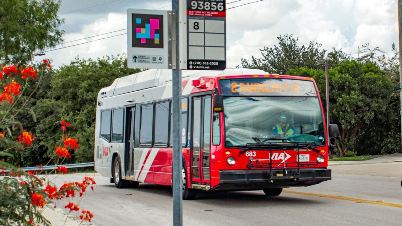¿Transporte gratis para estudiantes en San Antonio? Esto es lo que debes saber