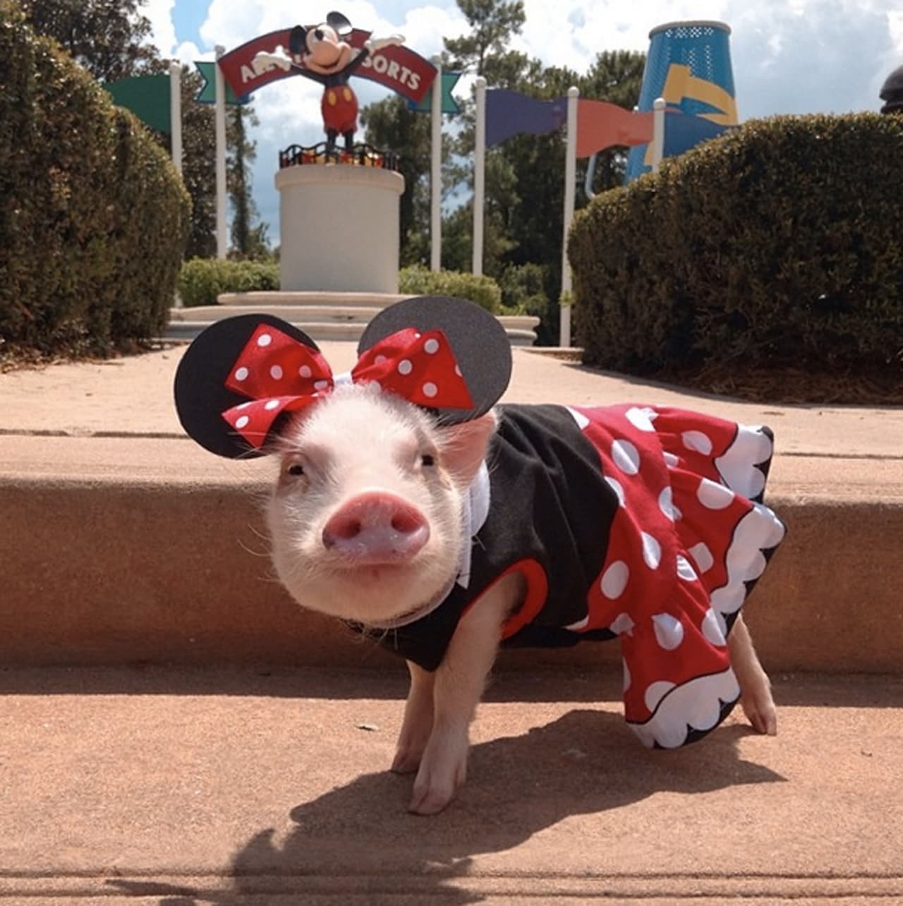 Minnie Mouse tiene una gran trompa y una cola enroscada.