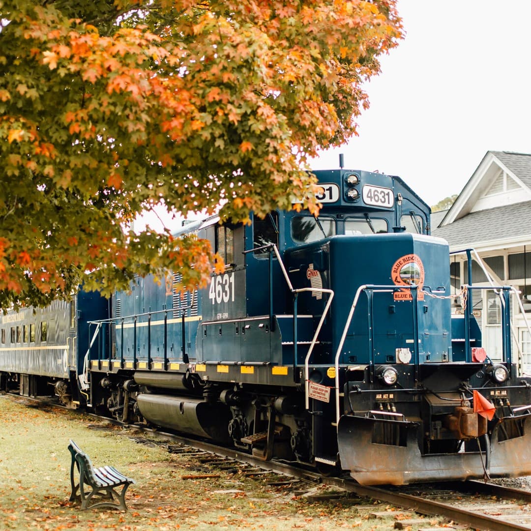 El Blue Ridge Scenic Railway se viste de gala a partir de septiembre, cuando habilitará la temporada de otoño con dos viajes. El 
<b>Fall Folliage 2022</b>, que estará disponible del 22 de septiembre al 7 de noviembre, te permite conectarte con la naturaleza mientras las hojas cambian de color.