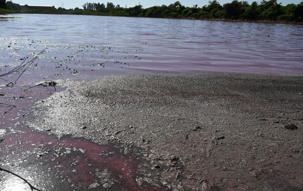 Fiscales ambientales iniciaron paralelamente una pesquisa para determinar la responsabilidad de quienes arrojaron los desechos.