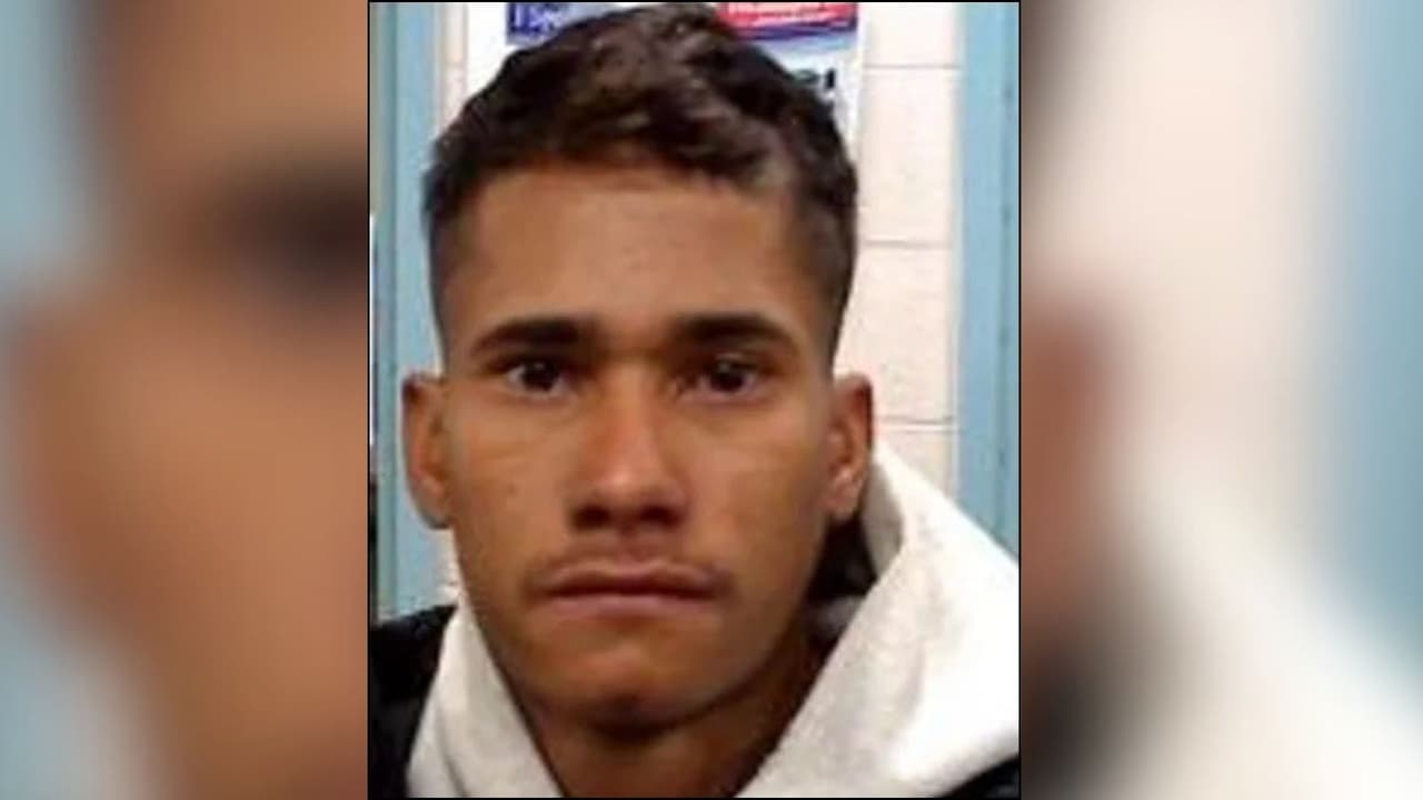 De acuerdo con el
<b> Departamento de Seguridad Nacional (DHS), </b>publicó hoy una fotografía del presunto responsable de la muerte Gorman, identificado como
<b> José Medina-Medina, de origen venezolano.</b> 
<br>
<br>Según la agencia, el individuo sería indocumentado y contaría con antecedentes penales tras un arresto previo por hurto en una tienda.
<b> </b>
<br>
<br>
<b>Se solicitó a la Policía de Chicago confirmar esta información; sin embargo, hasta el momento no han emitido una respuesta.</b>