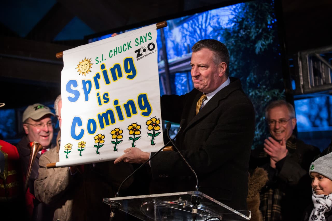 En 2014, la marmota de Staten Island murió tras ser soltada por el alcalde Bill de Blasio frente a una multitud.